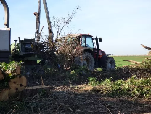 Entreprise spécialisée dans le broyage de branches Montauban, Montauban, Arlequin Espaces Verts