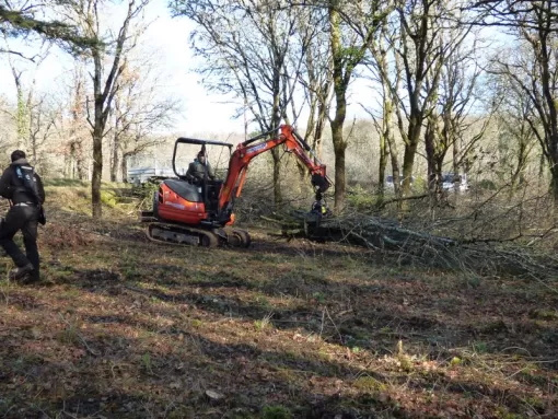 Entreprise spécialisée rangement branches et bois suite élagage Montauban, Montauban, Arlequin Espaces Verts