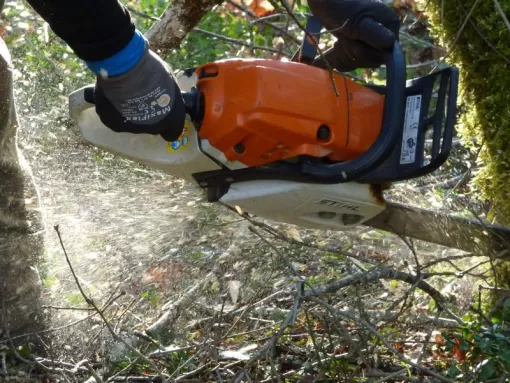 Entreprise spécialisée dans le tronçonnage Montauban, Montauban, Arlequin Espaces Verts