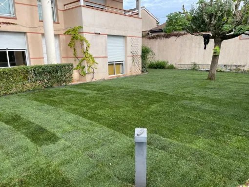 Création d'une pelouse en rouleau sur montauban dans le 82, Montauban, Arlequin Espaces Verts