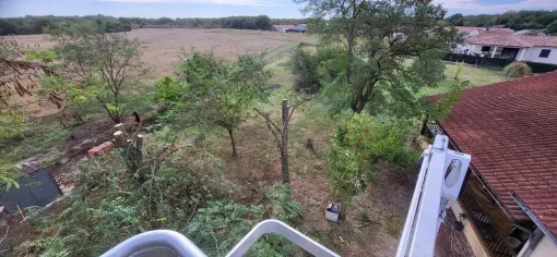 Elagage de 4 acacias sur la commune de Montbartier, Montauban, Arlequin Espaces Verts