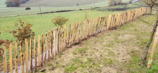 Création d'une clôture en ganivelle avec portillon en bois dans le Tarn-et-Garonne, Montauban, Arlequin Espaces Verts