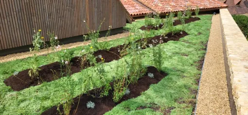 Création jardin paysagé dans le tarn et garonne à Montech, Montauban, Arlequin Espaces Verts