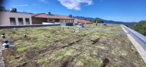 Creation d'une terrasse jardin végétalisé