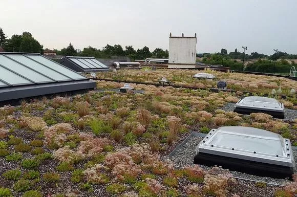 Les avantages d'avoir une toiture végetale., Montauban, Arlequin Espaces Verts