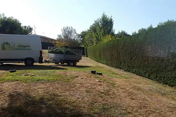 Pourquoi débrousailler ses espaces verts ?, Montauban, Arlequin Espaces Verts