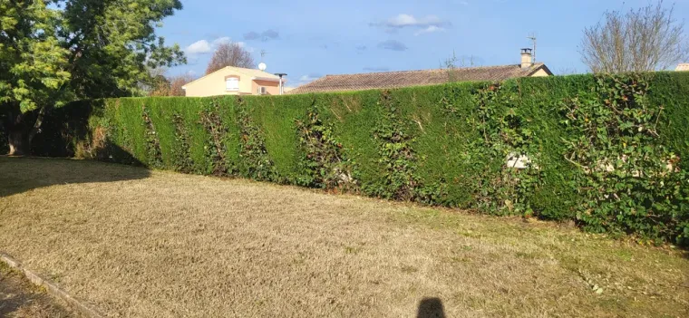 Il est temps de réaliser les tailles du jardin et premier élagage des arbres, Montauban, Arlequin Espaces Verts