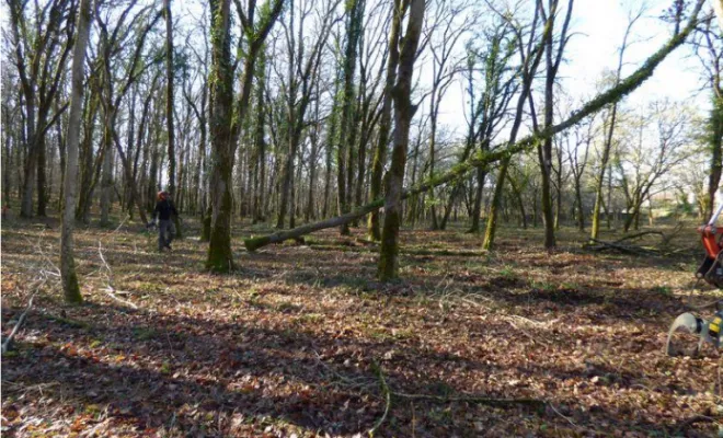 Arlequin Espaces Verts, Montauban, Arlequin Espaces Verts