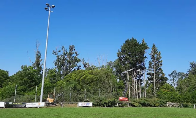 Abattage d'arbres de vingt mètres de haut à Montauban, Montauban, Arlequin Espaces Verts