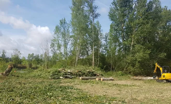 Elagage de sécurité sur le bord de route par votre élagueur sur Montauban, Montauban, Arlequin Espaces Verts