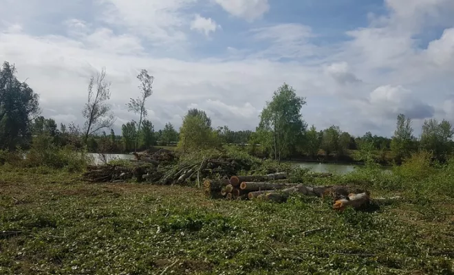 Elagage de sécurité sur le bord de route par votre élagueur sur Montauban, Montauban, Arlequin Espaces Verts