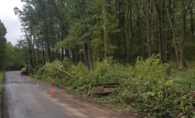 Elagage de sécurité sur le bord de route par votre élagueur sur Montauban, Montauban, Arlequin Espaces Verts