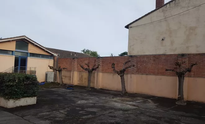 Entreprise spécialisée dans l'élagage d'arbre dans une cour de bâtiment sur Montauban, Montauban, Arlequin Espaces Verts