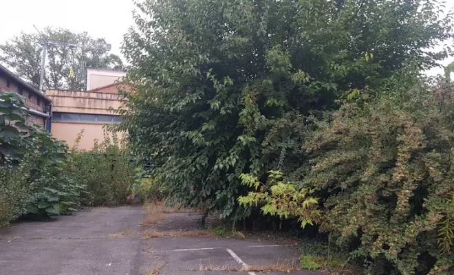 Entreprise spécialisée dans l'élagage d'arbre dans une cour de bâtiment sur Montauban, Montauban, Arlequin Espaces Verts