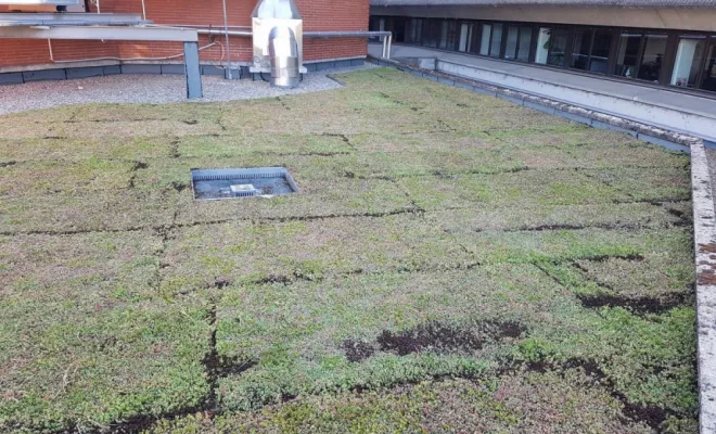 Spécialiste pour la pose de toiture végétalisée à Montauban, Montauban, Arlequin Espaces Verts