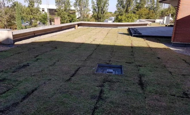 Spécialiste pour la pose de toiture végétalisée à Montauban, Montauban, Arlequin Espaces Verts