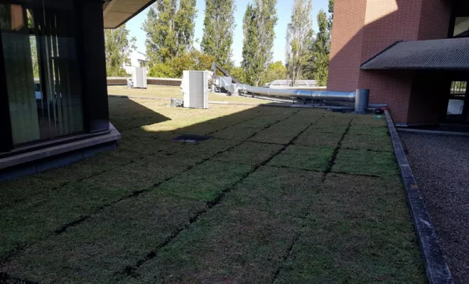 Spécialiste pour la pose de toiture végétalisée à Montauban, Montauban, Arlequin Espaces Verts