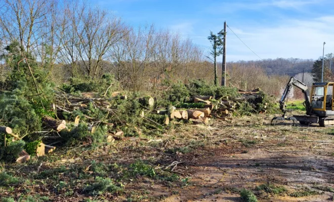 Elagage haie de peuplier à Montauban, Montauban, Arlequin Espaces Verts