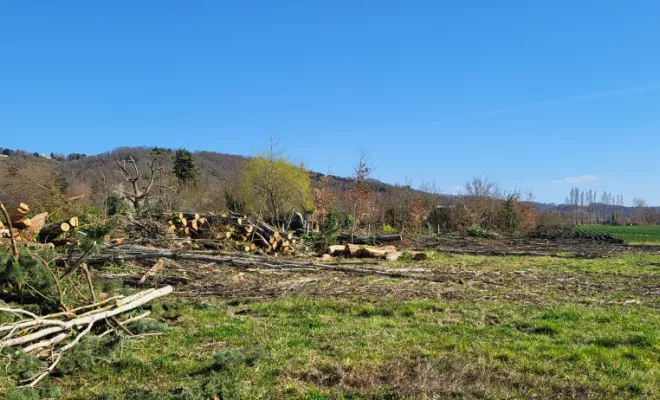 Elagage haie de peuplier à Montauban, Montauban, Arlequin Espaces Verts