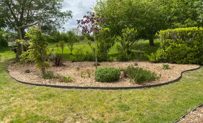 Création d'un massif en copeaux de bois avec plantations d'arbustes à Verdun-sur-Garonne, Montauban, Arlequin Espaces Verts