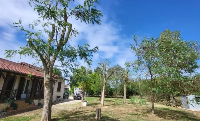 Elagage de 4 acacias sur la commune de Montbartier, Montauban, Arlequin Espaces Verts