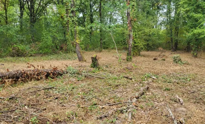 Débroussaillage dans le tarn et garonne, Montauban, Arlequin Espaces Verts