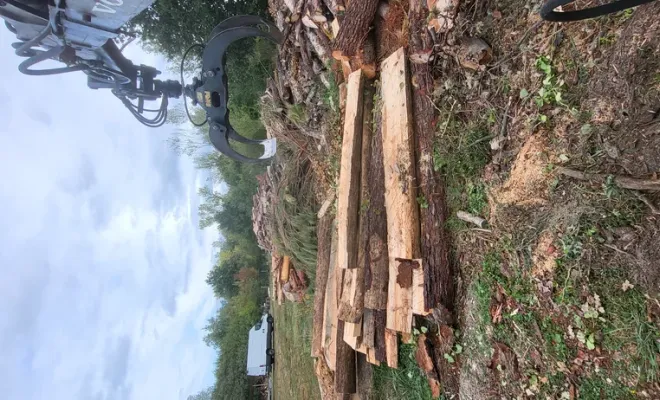 Abattage arbres et évacuation du bois, Montauban, Arlequin Espaces Verts