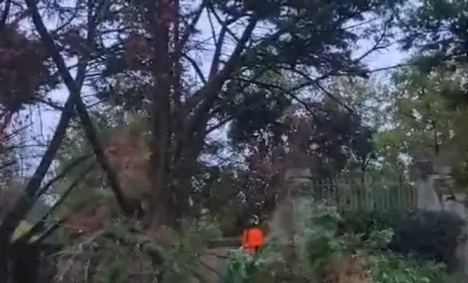 Élagage et abattage en urgence d'un arbre dangereux à Montauban, Montauban, Arlequin Espaces Verts