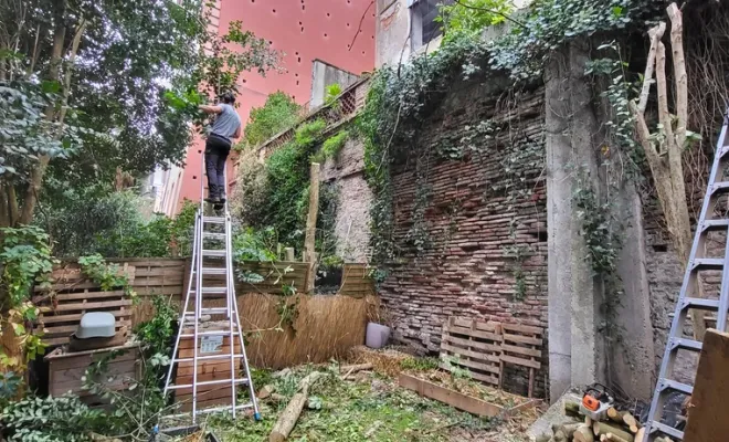 Élagage et taille de troène dans une petite cour intérieure à Montauban, Montauban, Arlequin Espaces Verts